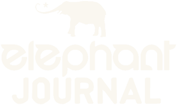 Elephant Journal